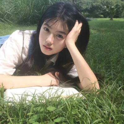 野生动物:无与伦比的有袋动物-树袋熊